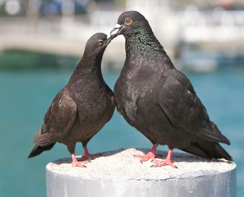 Completed Control Projects