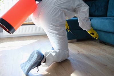 Commercial Fumigation in Toledo, OH