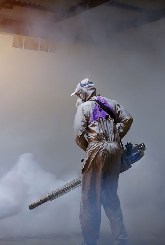 Rat Fumigation Service in Myrtle Beach, SC