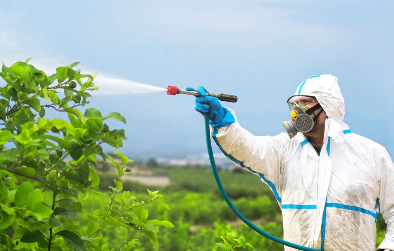 Roach Fumigation in San Antonio, TX